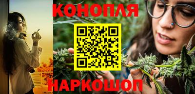 сатива Бузулук